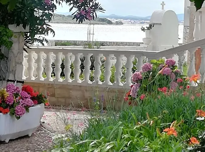 Esperanza Пашман